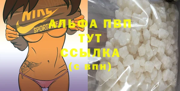 сатива Белокуриха