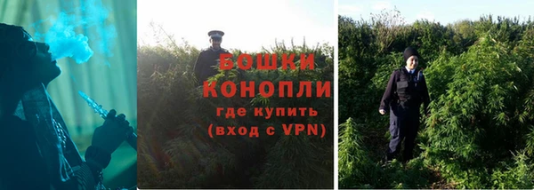 сатива Тутаев